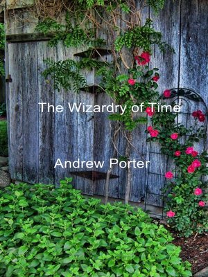 cover image of The Wizardry of Time
